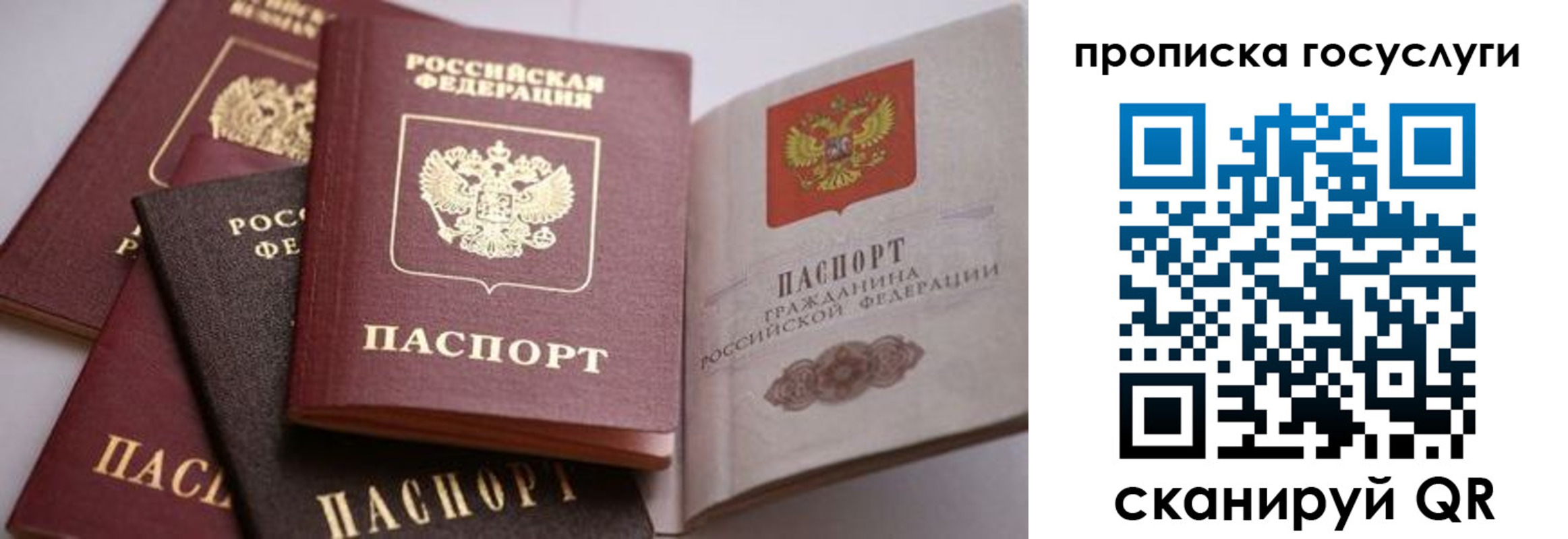 прописка иностранных граждан в Невельске